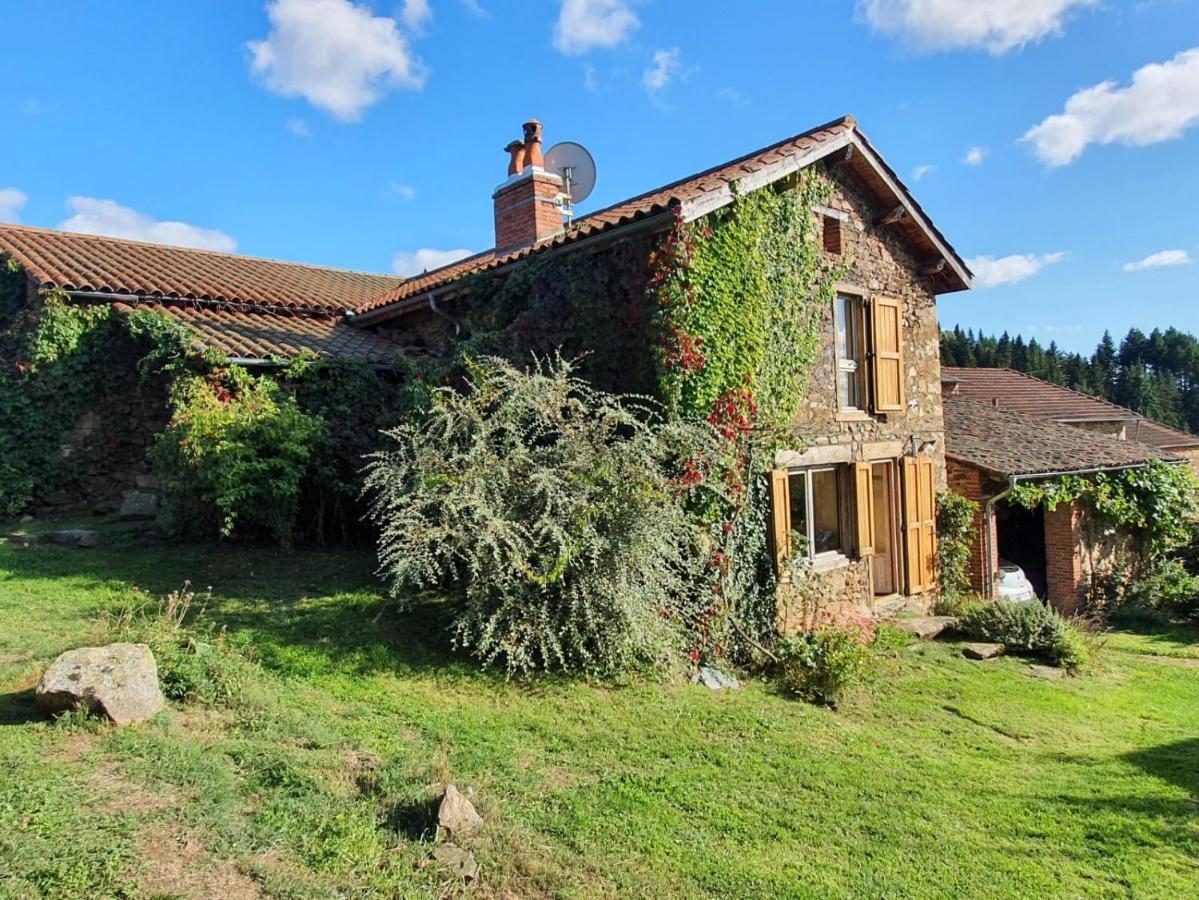 Eco-Gite Cottage Panoramique, Terrasses, Baby Foot, 150 M2 Renove Et Agrandi En 2024, Activites Proposees Champagnac-le-Vieux Kültér fotó