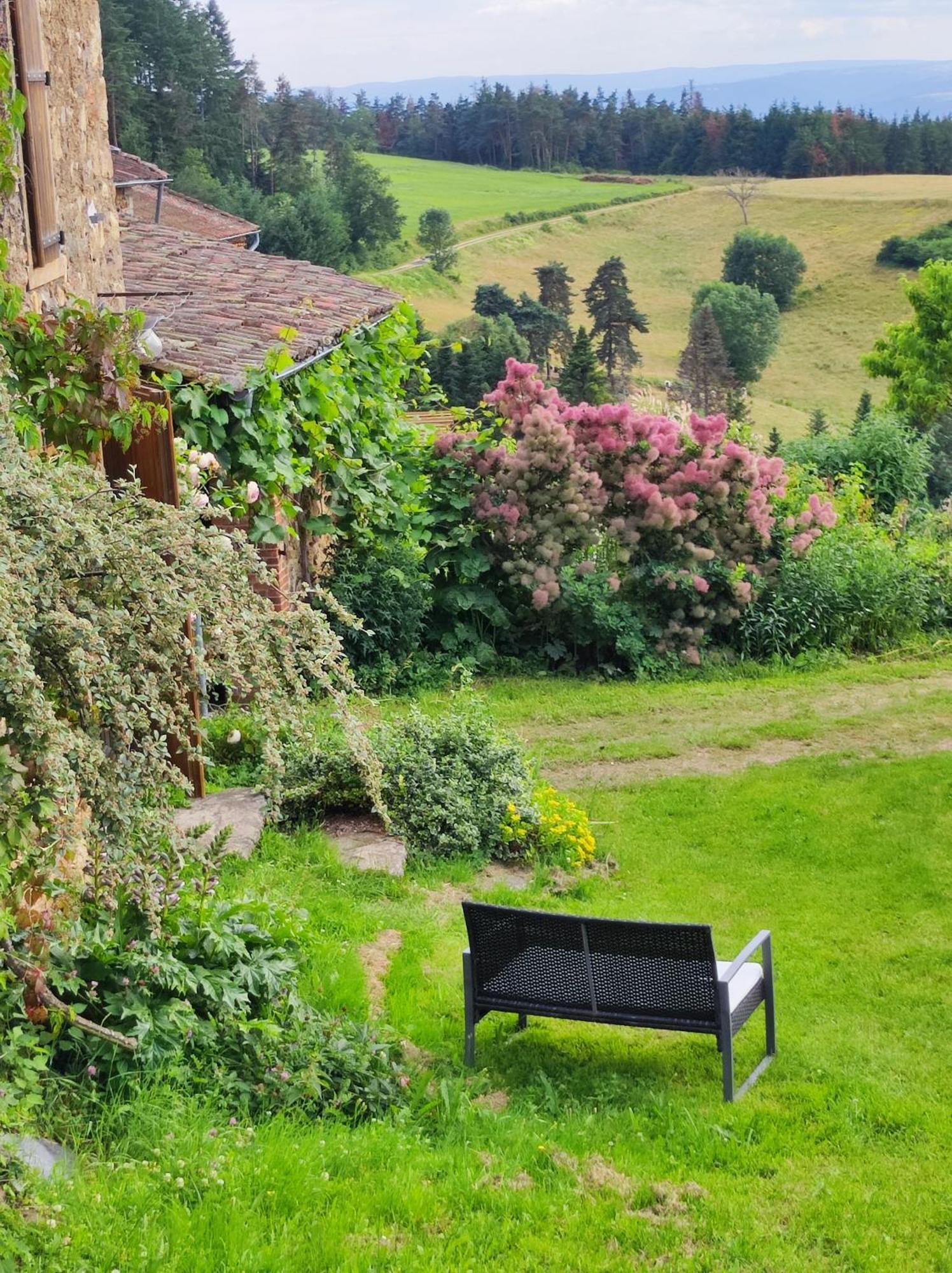Eco-Gite Cottage Panoramique, Terrasses, Baby Foot, 150 M2 Renove Et Agrandi En 2024, Activites Proposees Champagnac-le-Vieux Kültér fotó